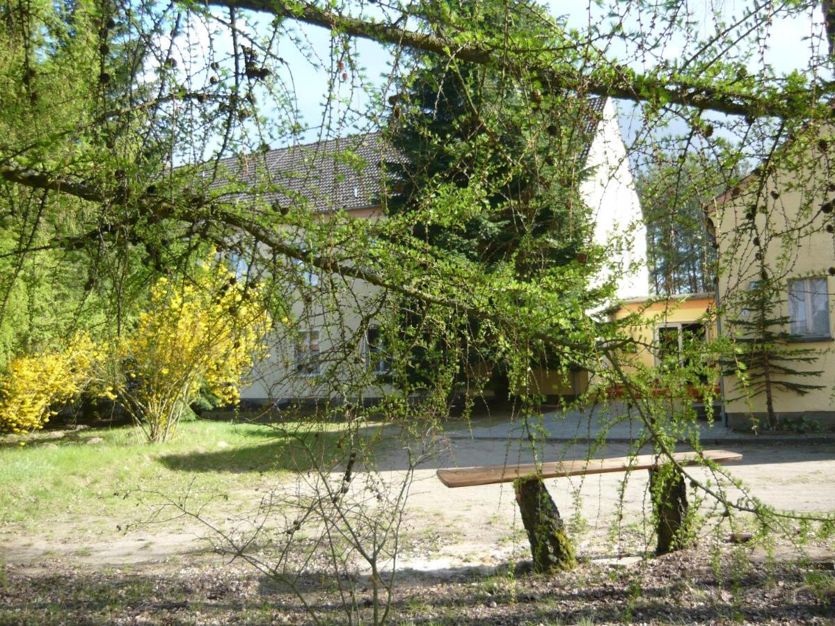 Grosse Wohnung Nossentiner Hütte Kültér fotó